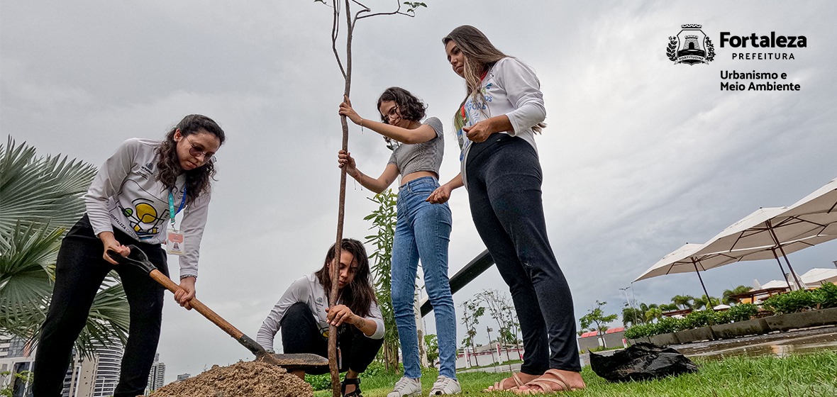 Mais verde: plantio de mudas em Fortaleza aumenta mais de 137% em comparação ao primeiro trimestre de 2023